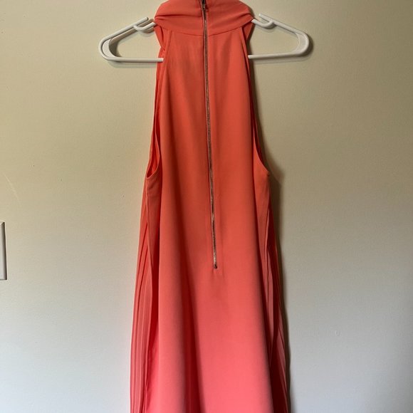 Large Coral High Neckline Naked Zebra Dress - Picture 2 of 3